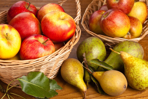 Dankdag fruit