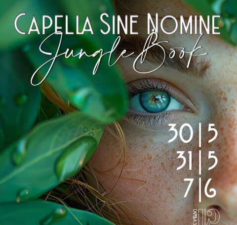 Poster Jungle Book klein formaat